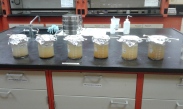 IHAP samples during clay removal