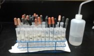 Sample tubes during processing